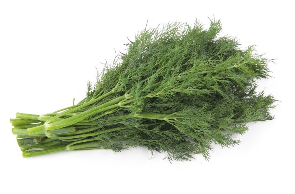 a09a6c76eabb0696e31dec0182245947